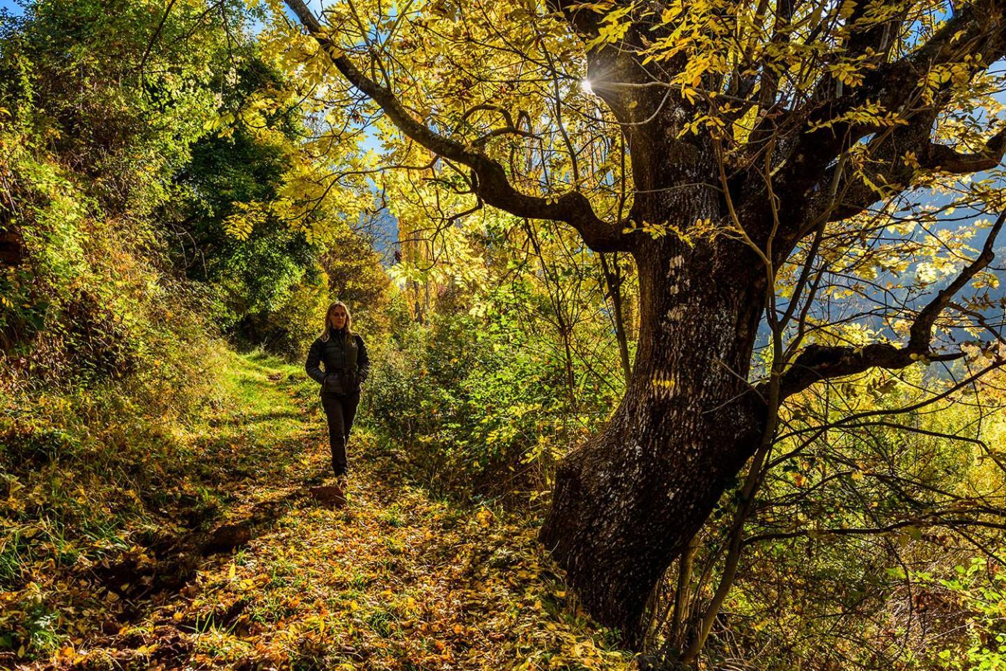 Llagunes Refugi Rural Vall De Siarbホステル エクステリア 写真